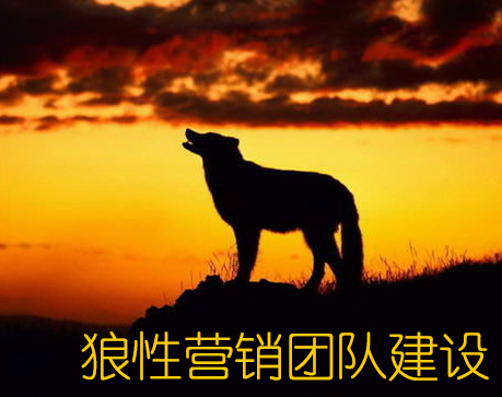 狼性營銷